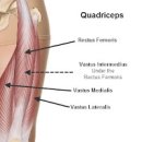 무릎근육 젊은데 통증이 일어난다면 원인은 주변 근육이라는 사실을 아시나요? 이미지