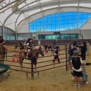 영광승마장 이미지