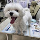 란이네멍살롱 이미지