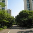 중앙마취과의원 이미지