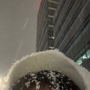 선비촌 보쌈 | 2025년 11월~12월 초 일상🥶