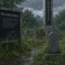 대한민국전몰군경유족회 서울특별시지부 노원구지회 | 역사를 덮은 잡초를 걷어내다: 자원봉사단이 다녀온 효사정의 오늘