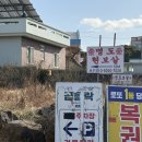 곱들락 | 제주도 함덕 맛집 | 곱들락 함덕흑돼지 | 방문후기