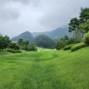 리앤리 주식회사 이미지