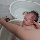 신생아바디워시 로하스베베헤어앤바디워시 | 유기농이라 자극없이 안전한 아기목욕