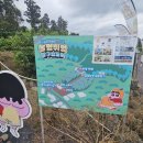 제주 짱구 팝업스토어 후기(굿즈, 카페, 캠핑장 등)