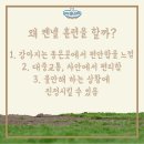 마이리틀프렌드 - 남구 삼산로94번길 19-24 | 마이리틀프렌드