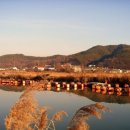 후계자주말농장 이미지