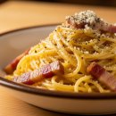 올리브 안전 이미지