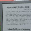 용담동 선사무덤유적 이미지