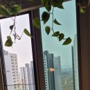 스타당구장 | 🏢천안 극동스타클래스 더퍼스트 아파트 유리난간대 청소, 어려운 난간도 꼼꼼하게 완벽 처리!💪