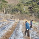 중인농장 이미지