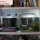 어항고개 이미지