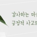 용인대석사 참바른 태권도 이미지
