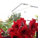 박달농장 이미지