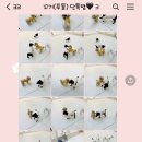 오올치 이미지
