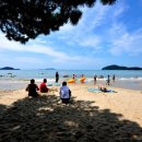 사구미해안도로 이미지