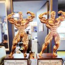 알브이디GYM 이미지