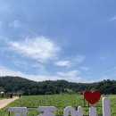 신관로>공주대학로 | [공주] 여름에 가기 좋은 여행지 추천(1박 2일 뚜벅이 공주 여행)