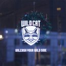 와일드캣 브루잉(WILD CAT BREWING) 네이버블로그