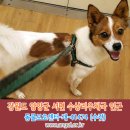 양양우체국 이미지