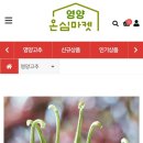 영양군온심마켓 이미지