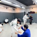 팀매드청주 | [운동] 청주 주짓수 즐겁게 배우는 팀매드 청주 방문 후기