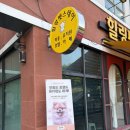 힐링펫샵 | 청주 애견미용 :: 편안함 가득한 힐링펫스테이 (시츄/위생 미용)