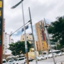 신지네일 이미지