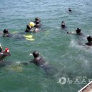 산삼수산 이미지