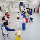 [유아체육] 지각운동 이미지