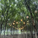 호우목장 | 아그로랜드 태신목장 우유농가카페 후기