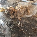 조은보일러설비 이미지