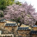 밀양향교 이미지