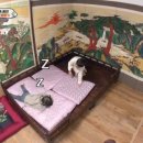 황실민박 이미지