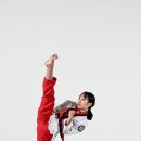 정무 태권도 이미지