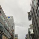 코다차야 대전둔산점 이미지