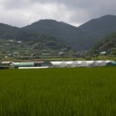 갈맷길(9코스) 이미지