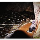 장미별장 이미지