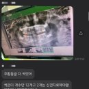 무거리틀원치과 네이버블로그