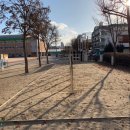 대전변동초등학교 이미지