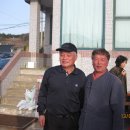 성재천 이미지