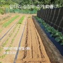 대건농장 이미지