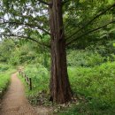 산지관리행정사사무소 이미지