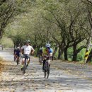 추석, 34°, 180km...그리고 의식의 표류 이미지