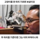 저너니