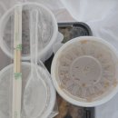 황금식당한식뷔페