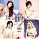 카라교역 이미지