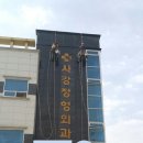 사강정형외과