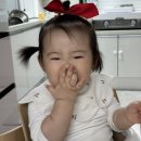 씨자인